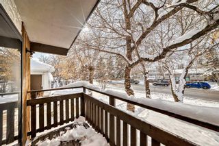 Photo 26: 6132 Bowness Road NW in Calgary: Bowness 4 plex for sale : MLS®# A2117560