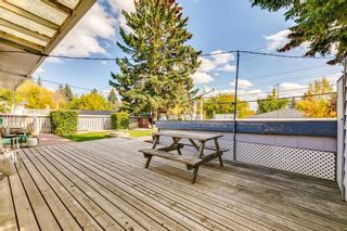 Photo 4: 236 Fairview Drive SE in Calgary: Fairview Detached for sale : MLS®# A2082943