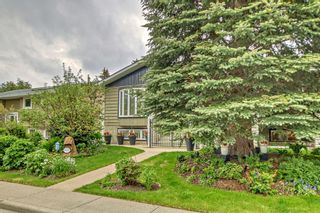 Photo 40: 3320 Constable Place NW in Calgary: Collingwood Detached for sale : MLS®# A2054192