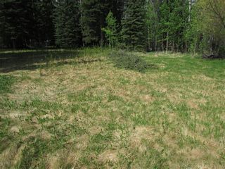 Photo 27: 127, 5241 TWP Rd 325A: Rural Mountain View County Land for sale : MLS®# C4299936