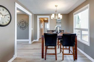 Photo 10: 1035 Riverbend Drive SE in Calgary: Riverbend Detached for sale : MLS®# A2056064