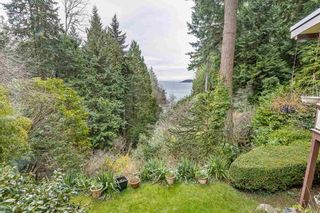 Photo 14: 6174 EASTMONT Drive in West Vancouver: Gleneagles House for sale in "GLENEAGLES" : MLS®# R2581636