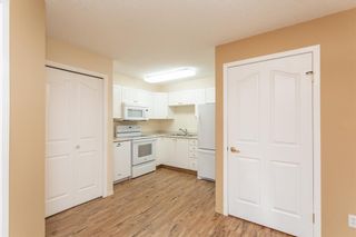Photo 5: 327 56 Carroll Crescent: Red Deer Apartment for sale : MLS®# A2002006