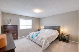 Photo 24: 41 Skyview Shores Cove NE in Calgary: Skyview Ranch Detached for sale : MLS®# A1207788