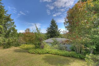 Photo 5: 6628 Rey Rd in Central Saanich: CS Tanner House for sale : MLS®# 851705