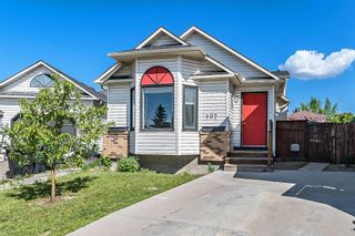 Main Photo: 107 Hunterhorn Crescent NE in Calgary: Huntington Hills Detached for sale : MLS®# A2049919