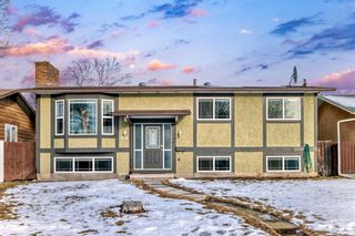 Main Photo: 303 Temple Close NE in Calgary: Temple Detached for sale : MLS®# A2113673