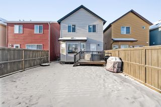 Photo 22: 18 Autumn Crescent SE in Calgary: Auburn Bay Detached for sale : MLS®# A1176701