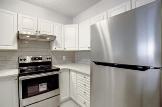 Photo 16: 1112 6635 25 Avenue NE in Calgary: Pineridge Apartment for sale : MLS®# A1177665