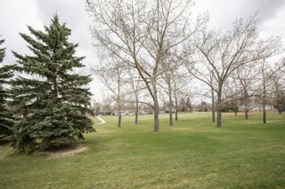 Photo 38: 260 Lynnview Way SE in Calgary: Ogden Detached for sale : MLS®# A1102665
