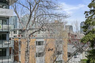 Photo 22: 302 317 19 Avenue SW in Calgary: Mission Apartment for sale : MLS®# A2128598