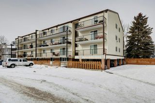 Photo 19: 304 635 56 Avenue SW in Calgary: Windsor Park Apartment for sale : MLS®# A2028703