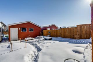 Photo 24: 120 Auburn Bay Street SE in Calgary: Auburn Bay Semi Detached (Half Duplex) for sale : MLS®# A2029808