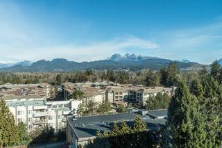 Photo 23: 910 12148 224 Street in Maple Ridge: East Central Condo for sale in "Panorama" : MLS®# R2656554