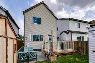 Photo 28: 378 Copperpond Boulevard SE in Calgary: Copperfield Detached for sale : MLS®# A2051584