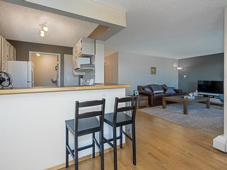 Photo 12: 509 8604 48 Avenue NW in Calgary: Bowness Apartment for sale : MLS®# A1240970