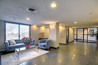 Photo 28: 806 320 Meredith Road NE in Calgary: Crescent Heights Apartment for sale : MLS®# A1252891