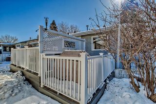 Photo 24: 4652 Namaka Crescent NW in Calgary: North Haven Detached for sale : MLS®# A2032798