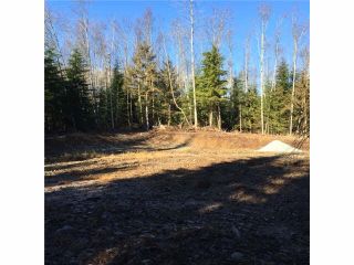 Photo 3: 12933 BELL Road in Mission: Stave Falls Land for sale : MLS®# F1431737