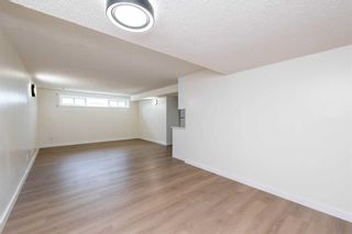 Photo 24: 107 Dovertree Place SE in Calgary: Dover Semi Detached (Half Duplex) for sale : MLS®# A2131844