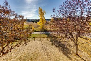 Photo 49: 31 Silver Creek Boulevard NW: Airdrie Detached for sale : MLS®# A2005994