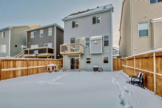 Photo 32: 85 Windford Park SW: Airdrie Detached for sale : MLS®# A2022419