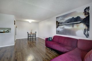 Photo 12: 427 550 Westwood Drive SW in Calgary: Westgate Apartment for sale : MLS®# A2050573