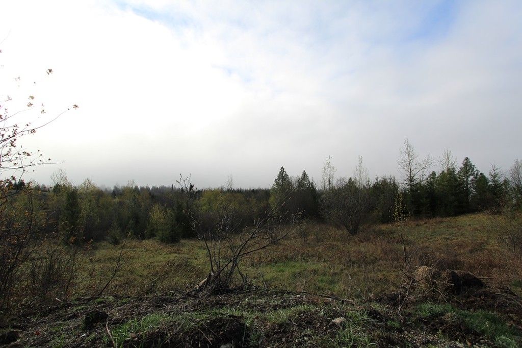 Main Photo: 1/4 2700 Block Squilax Anglemont Road in Lee Creek: North Shuswap Land Only for sale (Shuswap)  : MLS®# 10138544