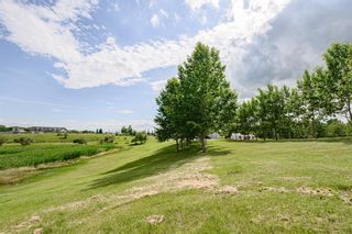 Photo 7: 10A RAINBOW Boulevard in Rural Rocky View County: Rural Rocky View MD Land for sale : MLS®# A1014377