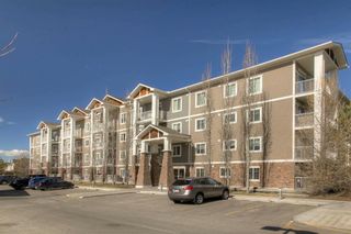 Photo 26: 301 102 Cranberry Park SE in Calgary: Cranston Apartment for sale : MLS®# A1082779