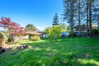 Photo 30: 3821 Laurel Dr in Royston: CV Courtenay South Manufactured Home for sale (Comox Valley)  : MLS®# 904060