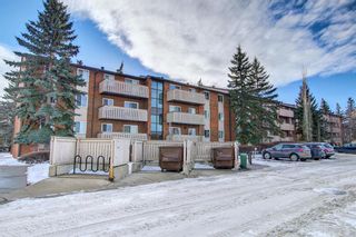Main Photo: 401 11620 Elbow Drive SW in Calgary: Canyon Meadows Apartment for sale : MLS®# A1171254