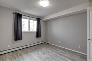Photo 15: 3418 10 Prestwick Bay SE in Calgary: McKenzie Towne Apartment for sale : MLS®# A1252409