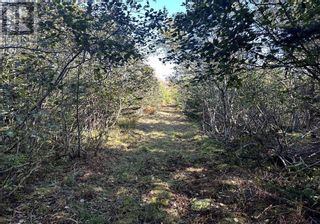 Photo 10: Lot Highway 331 in Crescent Beach: Vacant Land for sale : MLS®# 202217556