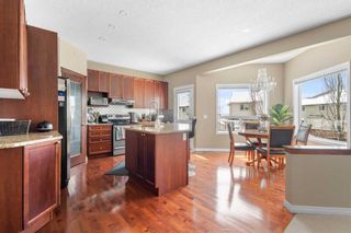Photo 9: 13 Royal Birch Hill NW in Calgary: Royal Oak Detached for sale : MLS®# A2121795