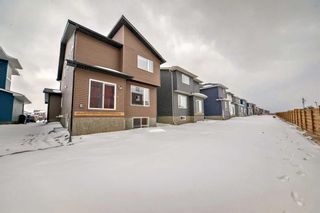 Photo 37: 208 Dawson Harbour Heights: Chestermere Detached for sale : MLS®# A2118825