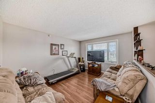 Photo 8: 3816 Dover Ridge Drive SE in Calgary: Dover Detached for sale : MLS®# A2124560