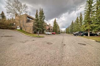Photo 43: 8 219 Village Terrace SW in Calgary: Patterson Apartment for sale : MLS®# A2114641
