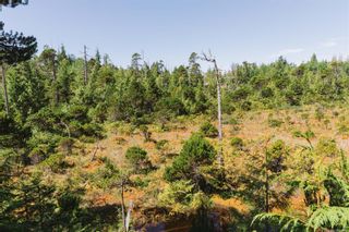 Photo 21: LOT 4 Hawkes Rd in Ucluelet: PA Ucluelet Land for sale (Port Alberni)  : MLS®# 911987
