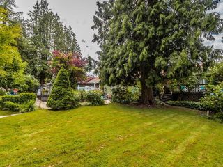 Photo 23: 4840 203 Street in Langley: Langley City House for sale : MLS®# R2725795