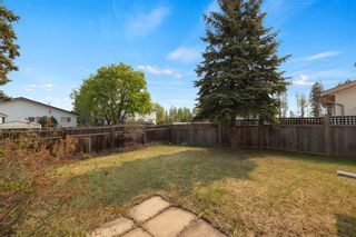 Photo 28: 104 Robin Crescent: Fort McMurray Detached for sale : MLS®# A2046968