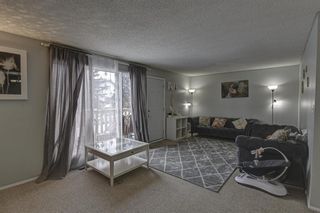 Photo 2: 53 & 55 Dovercliffe Way SE in Calgary: Dover Duplex for sale : MLS®# A1178005