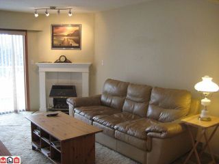 Photo 3: 204 5377 201A Street in Langley: Langley City Condo for sale in "RED MAPLE PLACE" : MLS®# R2095794