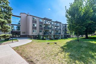 Photo 24: 388 8948 Elbow Drive SW in Calgary: Haysboro Apartment for sale : MLS®# A2075651