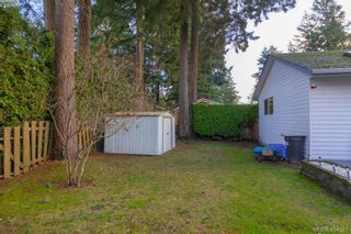 Photo 29: 436 Tipton Ave in VICTORIA: Co Wishart South House for sale (Colwood)  : MLS®# 803370
