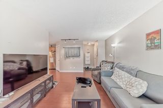 Main Photo: 205 835 19 Avenue SW in Calgary: Lower Mount Royal Apartment for sale : MLS®# A2109911