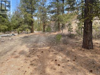 Photo 44: LOT 4 WHITETAIL Place in Osoyoos: Vacant Land for sale : MLS®# 198188