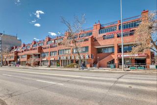 Photo 48: 425 1505 8 Avenue NW in Calgary: Hillhurst Apartment for sale : MLS®# A2121165