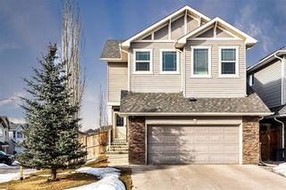 Photo 1: 211 CRANBERRY Circle SE in Calgary: Cranston Residential for sale ()  : MLS®# A1075893