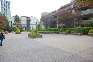 Photo 19: 302 1210 PACIFIC Street in Coquitlam: North Coquitlam Condo for sale in "Glenview Manor" : MLS®# R2286235